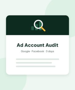 Ad Account Audit